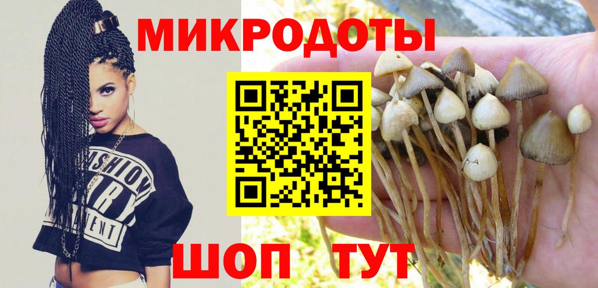Псилоцибиновые грибы MAGIC MUSHROOMS  Вход с VPN  Звенигород  Галлюциногенные грибы мухоморы 