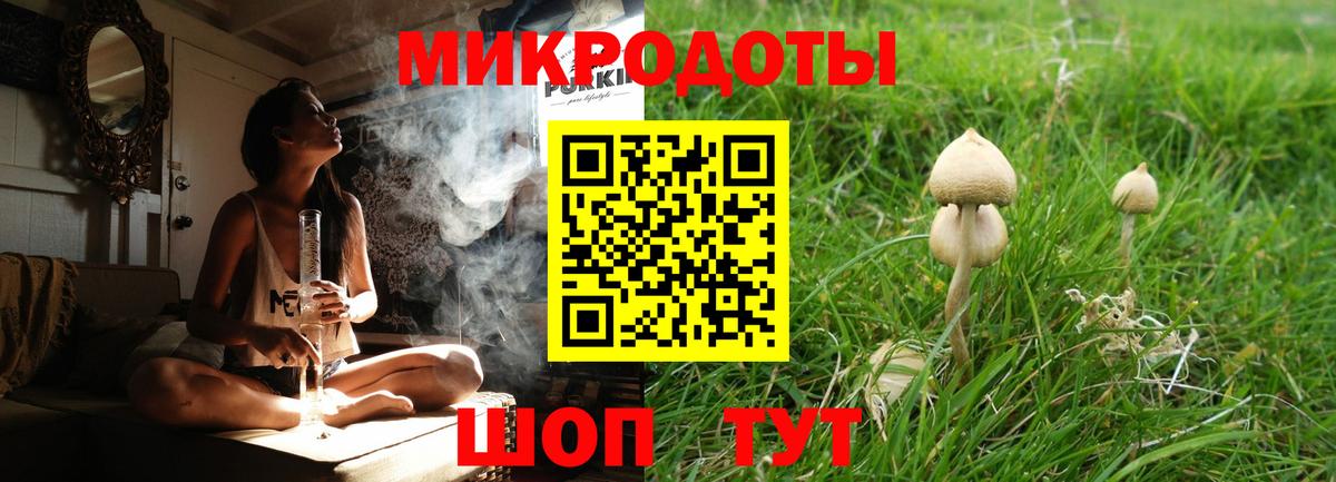 Псилоцибиновые грибы мухоморы Звенигород